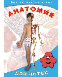 DVD. Анатомия для детей