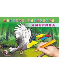 Цветная раскраска. Америка