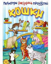 Кошки