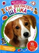 Как воспитать щенка