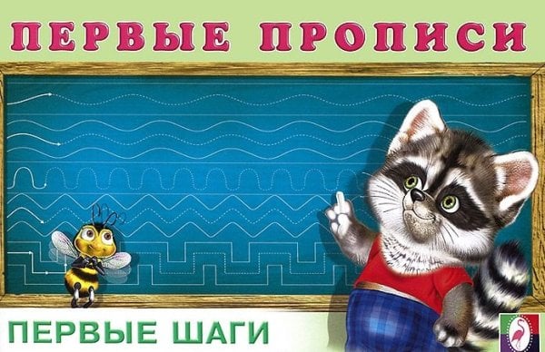 Первые шаги