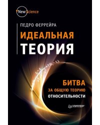 Идеальная теория. Битва за общую теорию относительности