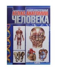 Большой иллюстрированный атлас анатомии человека
