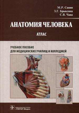 Анатомия человека. Атлас. Учебное пособие для медицинских училищ и колледжей. Гриф МО РФ