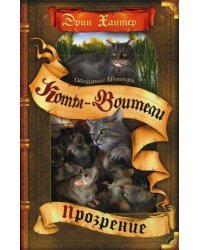 Обещание Метеора. Прозрение