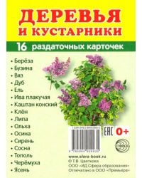 Раздаточные карточки "Деревья и кустарники" (16 карточек)