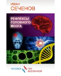Рефлексы головного мозга