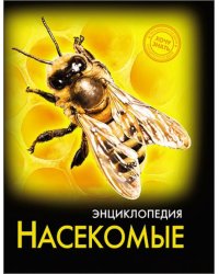 Насекомые