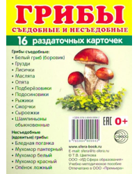 Раздаточные карточки &quot;Грибы&quot; (63х87 мм)