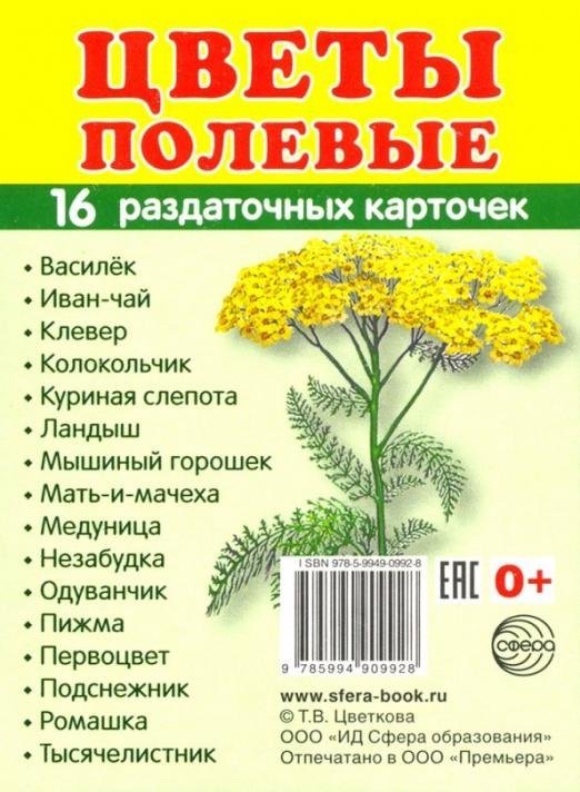 Раздаточные карточки &quot;Цветы полевые&quot; (16 карточек)