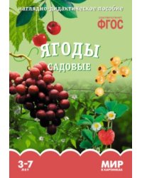 Ягоды садовые. Наглядно-дидактическое пособие. ФГОС