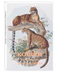 Кошки. Иллюстрации Д.-Ж. Эллиота. (Набор из 15 открыток)
