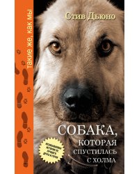Собака, которая спустилась с холма. Незабываемая история Лу, лучшего друга и героя