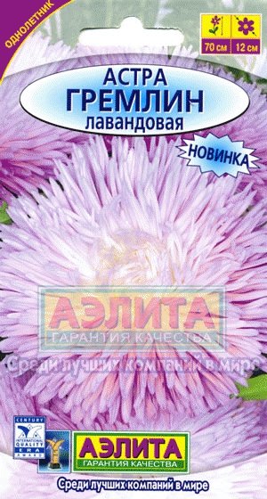 Семена. Астра "Гремлин лавандовая", однолетний