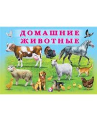 Домашние животные
