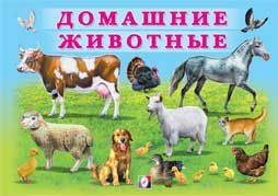 Обложка книги «Домашние животные», ISBN 9785783318696