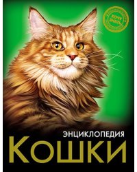 Кошки