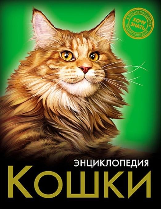 Кошки