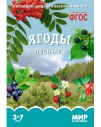 Мир в картинках. Ягоды лесные. ФГОС