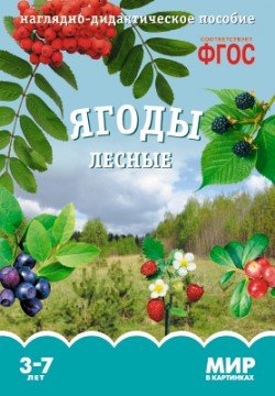 Мир в картинках. Ягоды лесные. ФГОС