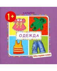 Одежда. Мои первые слова