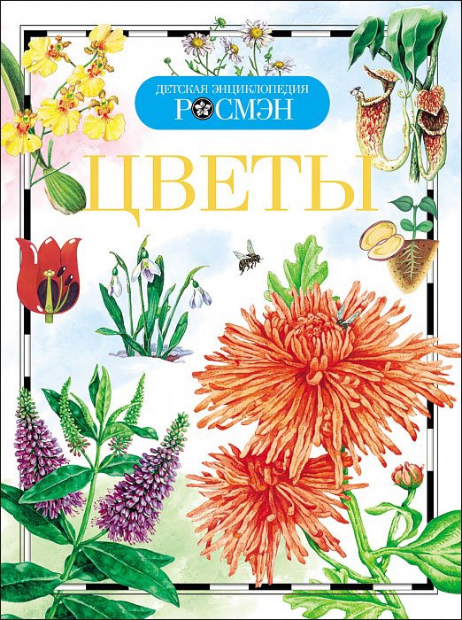 Цветы