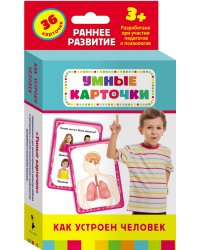 Развивающие карточки "Как устроен человек?"