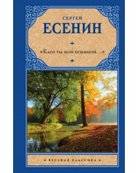 "Клен ты мой опавший..."