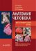 Анатомия человека. Фотографический атлас. В 3-х томах. Том 2. Сердечно-сосудистая система