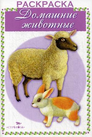 Раскрашиваем и учимся Домашние животные. Раскраска