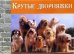 Обложка книги «Крутые дворняжки» — Уэлдон Уинн, ISBN 5981241586
