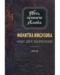 Молитва Иисусова. Опыт двух тысячелетий. В 4-х томах. Том 3. Учение святых отцов и подвижников благочестия от древности до наших дней: обзор аскетической литературы
