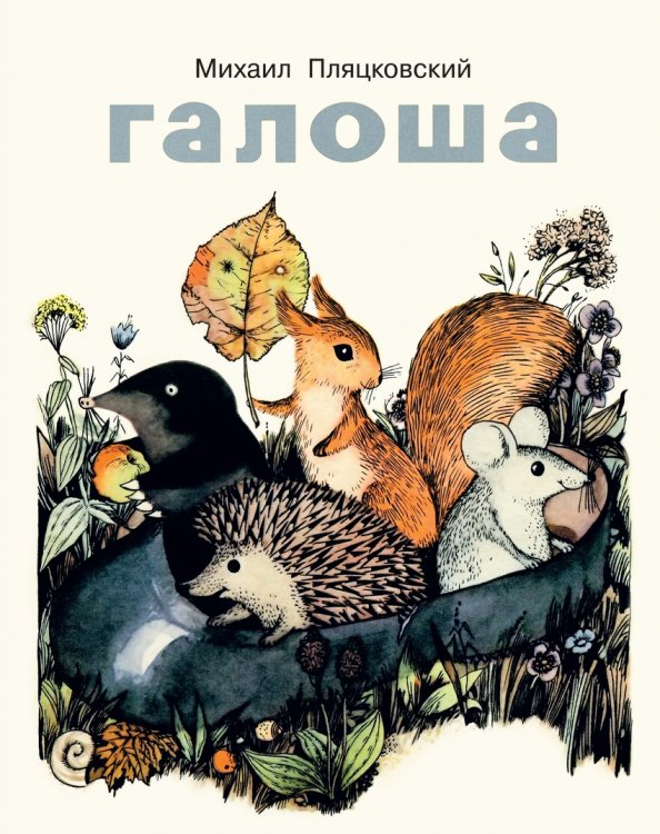 Обложка книги «Галоша» — Пляцковский Михаил Спартакович, ISBN 9785990597624
