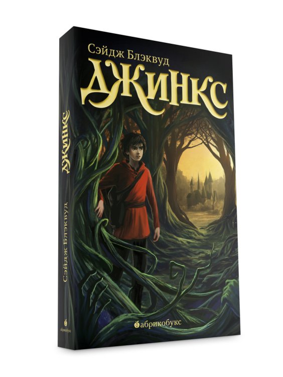 Обложка книги «Джинкс. Книга первая» — Блэквуд Сэйдж, ISBN 9785990590410