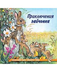 Приключения зайчонка