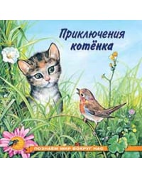 Приключения котенка