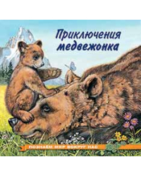 Приключения медвежонка