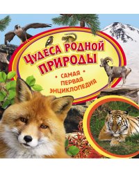 Чудеса родной природы