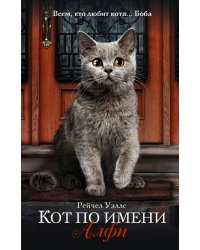 Кот по имени Алфи