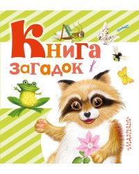 Книга загадок