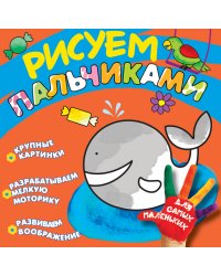 Кит