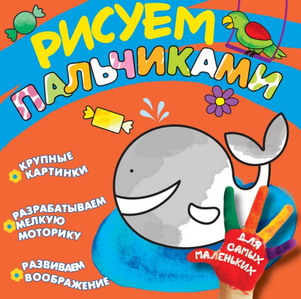 Кит