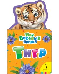 Тигр