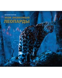 Мои знакомые леопарды
