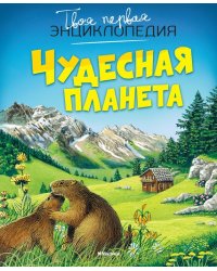 Чудесная планета 