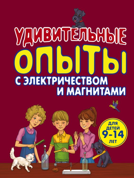Обложка книги «Удивительные опыты с электричеством и магнитами. Для детей 9-14 лет» — Проневский Артем Георгиевич, ISBN 9785699794751