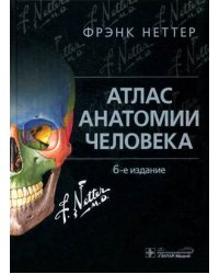 Атлас анатомии человека