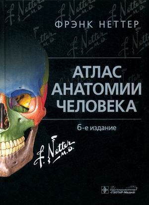 Атлас анатомии человека