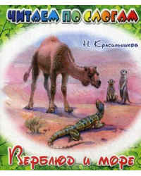 Верблюд и море