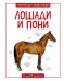 Лошади и пони